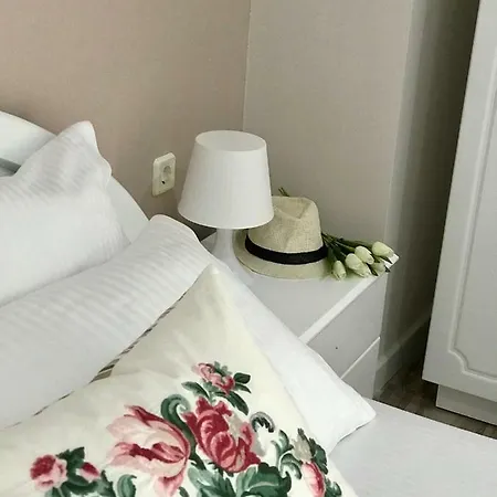 Hotel Joy 2*