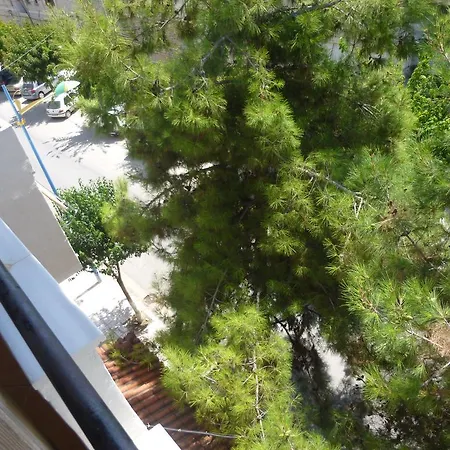 Joy Hotel 2*